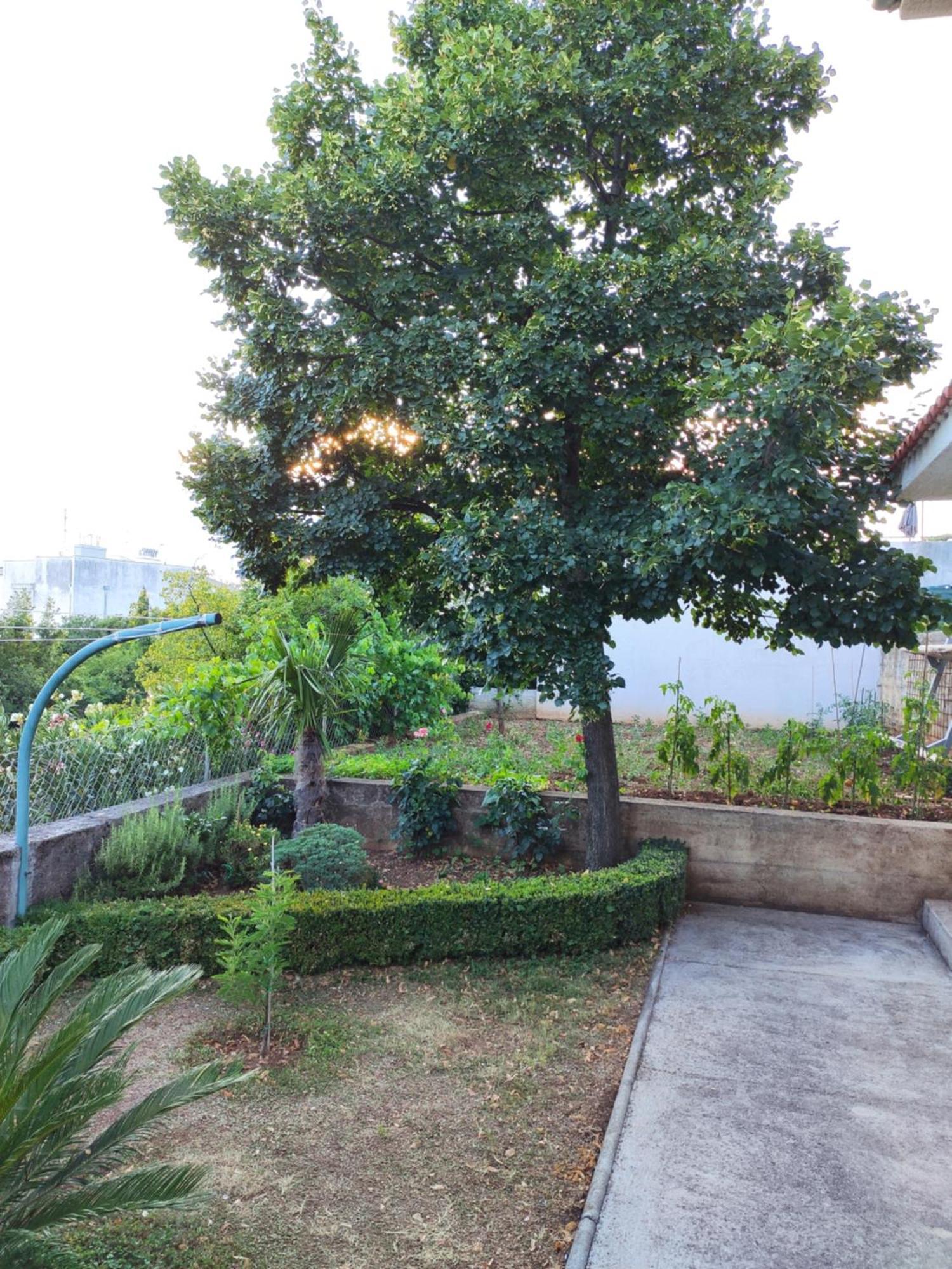 Apartment With Private Garden And The Terrace Ev Station Available 크리크베니카 외부 사진