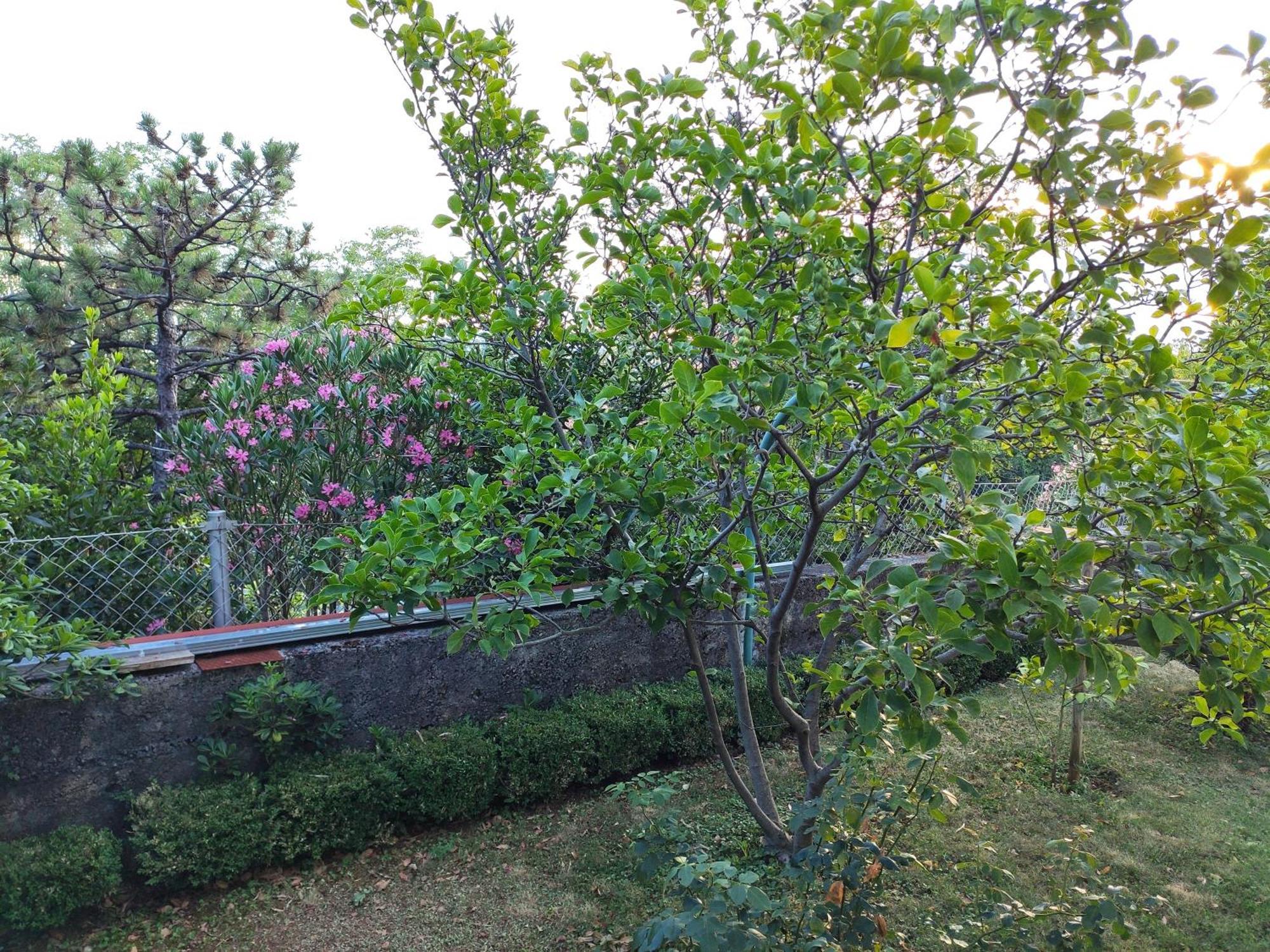 Apartment With Private Garden And The Terrace Ev Station Available 크리크베니카 외부 사진